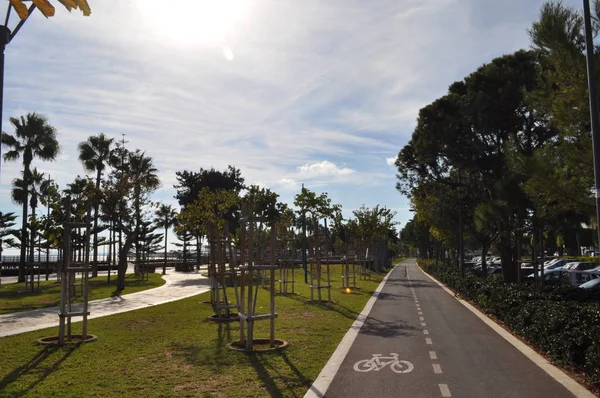 Kıbrıs'ta güzel Limasol Molos