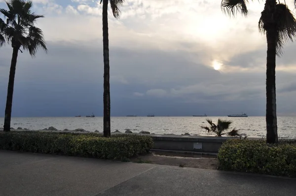 Kıbrıs'ta güzel Limasol Molos