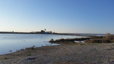 Güzel bayanın Mile Kıbrıs (Limassol)