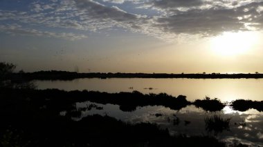 Güzel bayanın Mile Kıbrıs (Limassol)