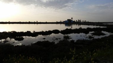 Güzel bayanın Mile Kıbrıs (Limassol)