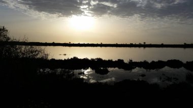 Güzel bayanın Mile Kıbrıs (Limassol)