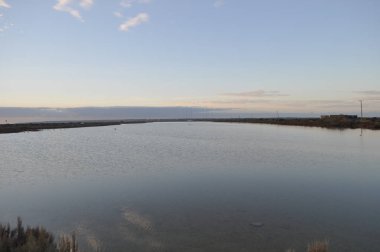 Güzel bayanın Mile Kıbrıs (Limassol)