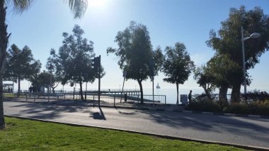 Kıbrıs'ta Limasol Enaerios