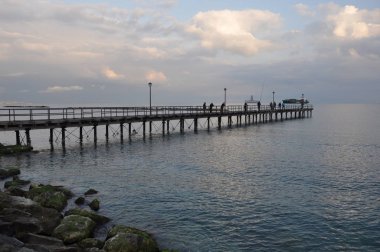 Kıbrıs'ta Limasol Enaerios