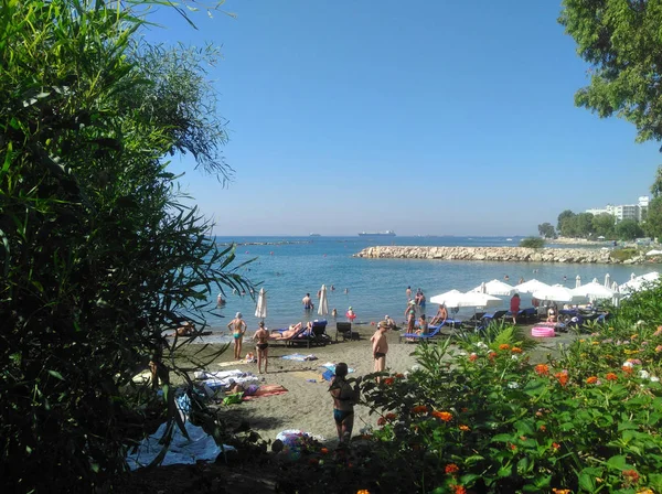  Kıbrıs'ta Royal Apollonia Beach Limasol