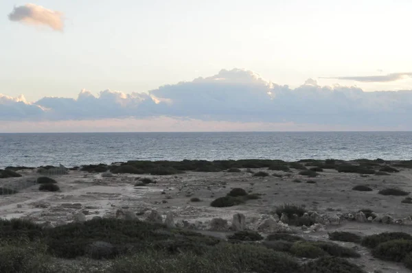 Güzel Coral Bay Beach Pafos Kıbrıs — Stok fotoğraf