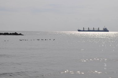 Kargo gemisi ulaşım