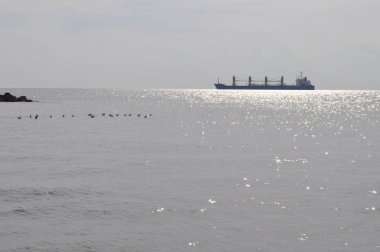 Kargo gemisi ulaşım