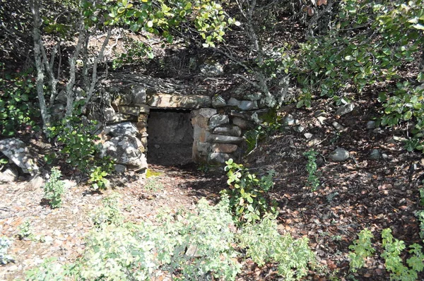 Belle Cachette Cachée Dans Forêt Chypre — Photo