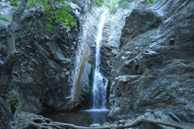 Kıbrıs'ta ormandaki güzel millomeris şelaleler