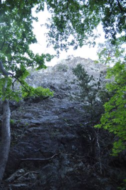 Kıbrıs'ta ormandaki güzel millomeris şelaleler