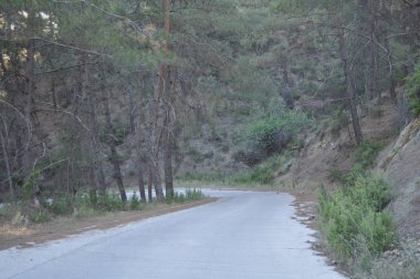 Kıbrıs'ta ormandaki güzel millomeris şelaleler