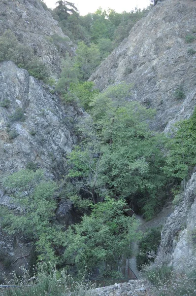 Belas Cachoeiras Millomeris Floresta Chipre — Fotografia de Stock