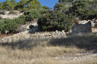 Kıbrıs'ta orman kayaya