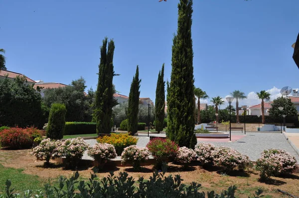 Hermoso Parque Agios Athanasios Limassol Chipre —  Fotos de Stock