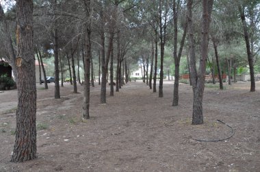 Güzel Athalassa Milli Park Nicosia (Kıbrıs)