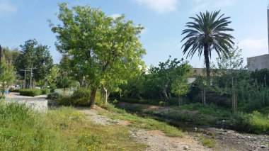 Güzel doğrusal Park boyunca Garyllis nehir Limassol (Cyprus)