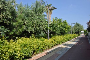 Güzel doğrusal Park boyunca Garyllis nehir Limassol (Cyprus)