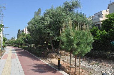 Güzel doğrusal Park boyunca Garyllis nehir Limassol (Cyprus)