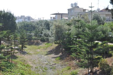Güzel doğrusal Park boyunca Garyllis nehir Limassol (Cyprus)