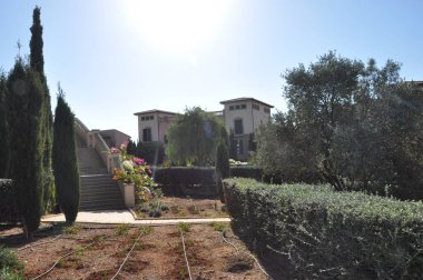 Esneklik Limassol (Cyprus, güzel bahçe)