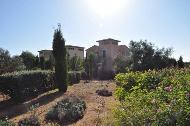 Esneklik Limassol (Cyprus, güzel bahçe)