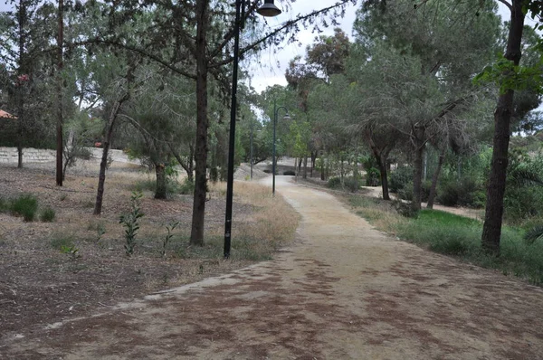 Güzel Athalassa Milli Park Nicosia Kıbrıs — Stok fotoğraf