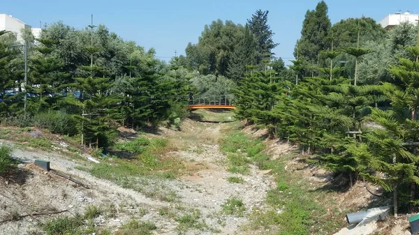 Beautiful Linear Park Garyllis River Limassol Cyprus — Stock Photo, Image