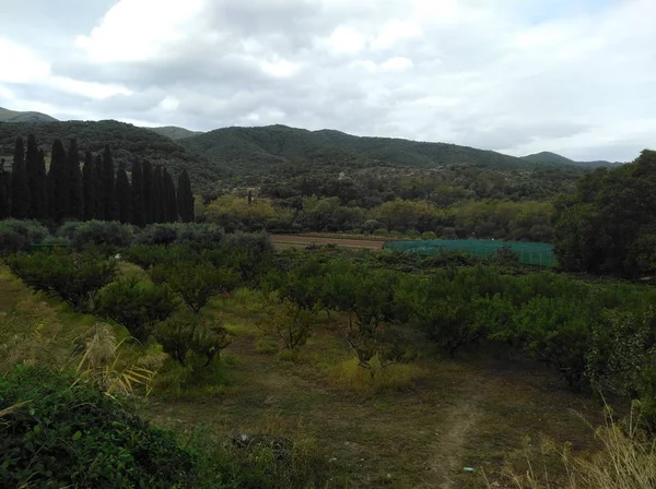 Hermosa Tierra Agrícola — Foto de Stock