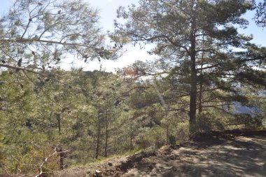 Gün batımında arka planda Kıbrıs masif güzel doğal dağ manzara