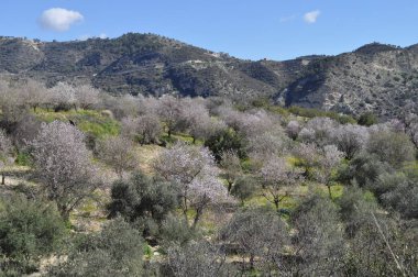 Gün batımında arka planda Kıbrıs masif güzel doğal dağ manzara