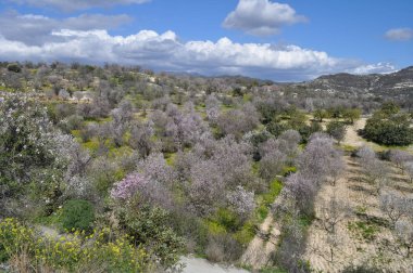 Gün batımında arka planda Kıbrıs masif güzel doğal dağ manzara