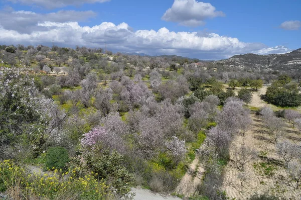 Gün batımında arka planda Kıbrıs masif güzel doğal dağ manzara