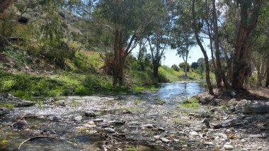 Kıbrıs'ta güzel doğal Nehir