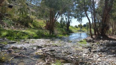 Kıbrıs'ta güzel doğal Nehir