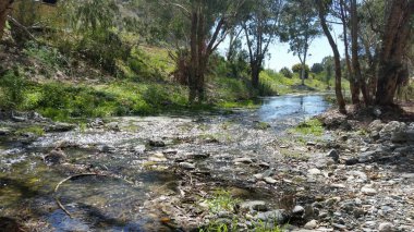 Kıbrıs'ta güzel doğal Nehir