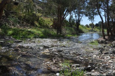 Kıbrıs'ta güzel doğal Nehir