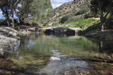 Kıbrıs'ta güzel doğal Nehir
