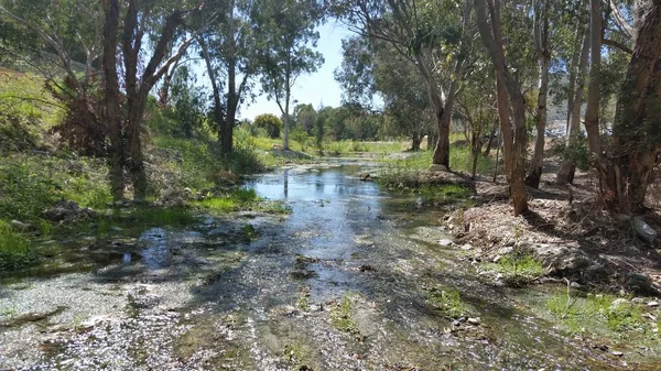 Kıbrıs'ta güzel doğal Nehir