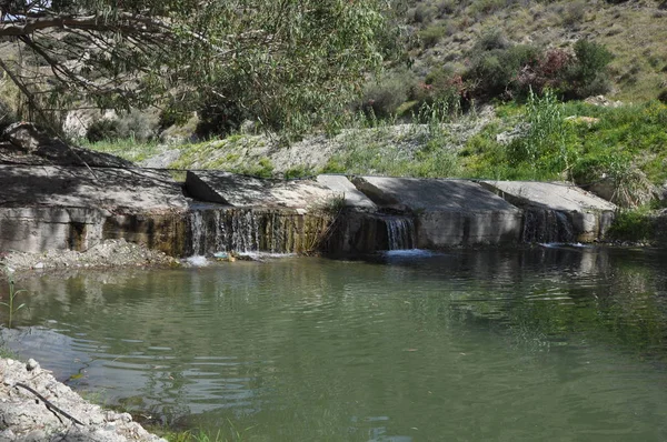 Hermoso Río Natural Chipre — Foto de Stock