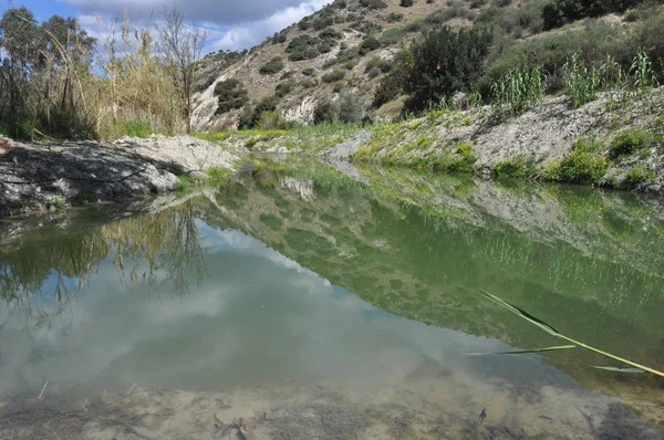 Hermoso Río Natural Chipre — Foto de Stock