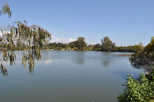 Kıbrıs'ta güzel doğal Sulak manzara