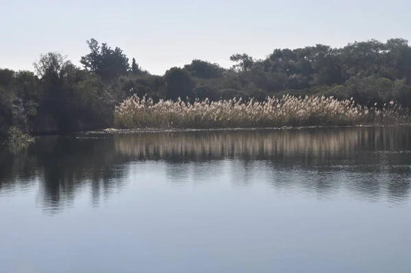 Hermoso Paisaje Natural Del Lago Athalassas Humedal Chipre — Foto de Stock