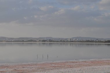 Kıbrıs'ta güzel doğal Sulak Larnaka Tuz Gölü manzara