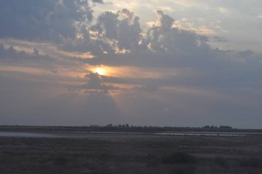 Kıbrıs'ta güzel doğal Sulak Limasol Tuz Gölü manzara