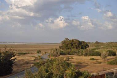 Kıbrıs'ta güzel doğal Sulak Limasol Tuz Gölü manzara