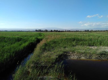 Kıbrıs'ta güzel doğal Sulak Limasol Tuz Gölü manzara