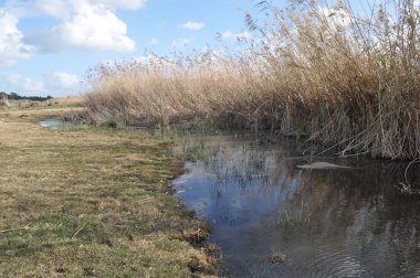 Kıbrıs'ta güzel doğal Sulak Limasol Tuz Gölü manzara