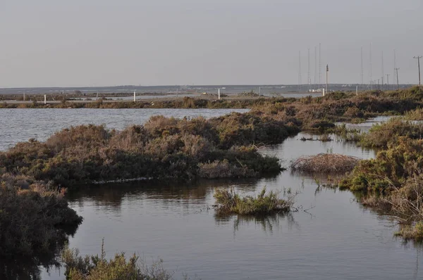 Beautiful Natural Wetland Limassol Salt Lake Landscape Cyprus — Stock Photo, Image